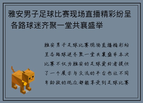 雅安男子足球比赛现场直播精彩纷呈 各路球迷齐聚一堂共襄盛举